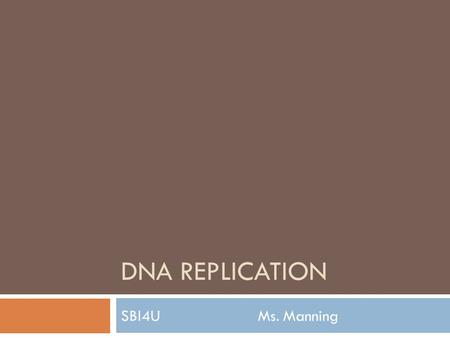 DNA REPLICATION SBI4U Ms. Manning. DNA Replication  Produces two identical copies of the chromosome during S phase of interphase  Catalyzed by many.