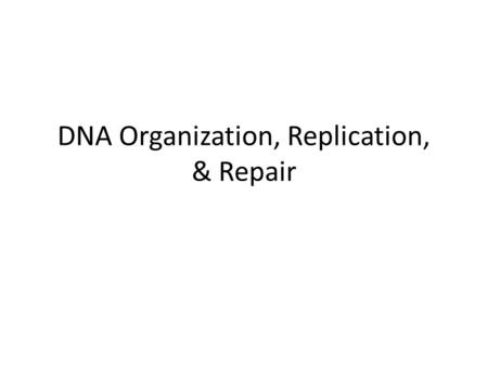 DNA Organization, Replication, & Repair. Model for the structure of the nucleosome.