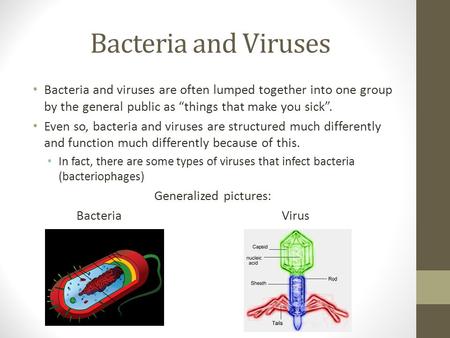 Bacteria and Viruses Bacteria and viruses are often lumped together into one group by the general public as “things that make you sick”. Even so, bacteria.