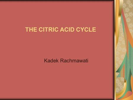 THE CITRIC ACID CYCLE Kadek Rachmawati.