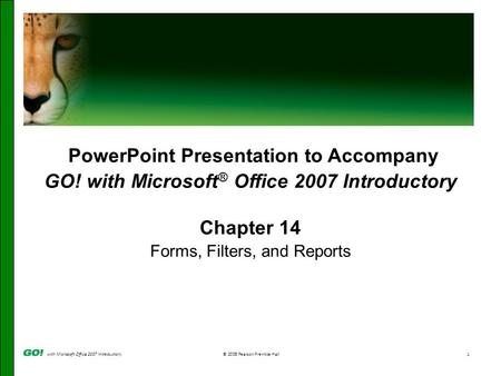 With Microsoft Office 2007 Introductory© 2008 Pearson Prentice Hall1 PowerPoint Presentation to Accompany GO! with Microsoft ® Office 2007 Introductory.