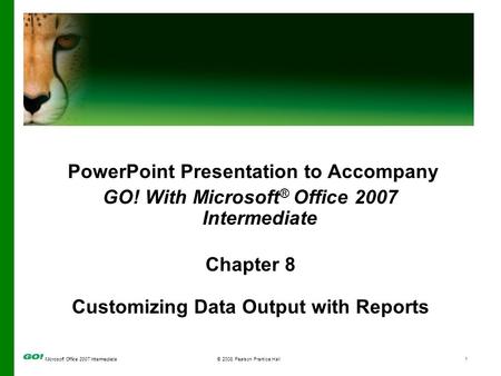 Microsoft Office 2007 Intermediate© 2008 Pearson Prentice Hall1 PowerPoint Presentation to Accompany GO! With Microsoft ® Office 2007 Intermediate Chapter.