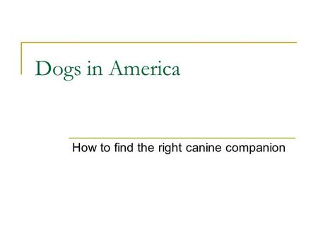 Dogs in America How to find the right canine companion.