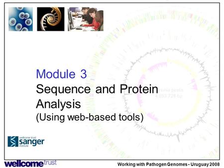 Module 3 Sequence and Protein Analysis (Using web-based tools) Working with Pathogen Genomes - Uruguay 2008.
