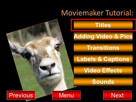 Moviemaker Tutorial: Titles Adding Video & Pics Transitions MenuNextPrevious Video Effects Sounds Labels & Captions.