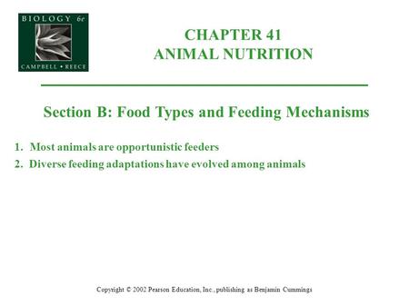 CHAPTER 41 ANIMAL NUTRITION Copyright © 2002 Pearson Education, Inc., publishing as Benjamin Cummings Section B: Food Types and Feeding Mechanisms 1.Most.