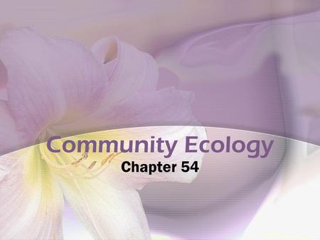 Community Ecology Chapter 54. Interspecific Interactions Competition --/-- Competitive exclusion Ecological Niches (Habitat-address; niche- profession)
