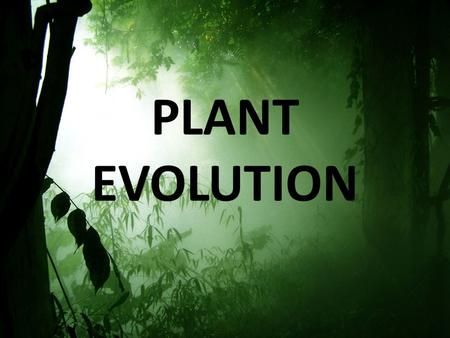 PLANT EVOLUTION. What is a Plant? Eukaryotic Multicellular Autotrophic Organized tissues and organs.