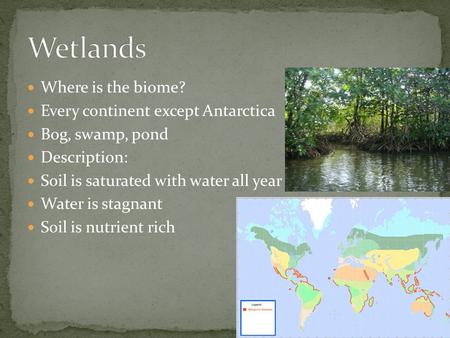 Where is the biome? Every continent except Antarctica Bog, swamp, pond Description: Soil is saturated with water all year Water is stagnant Soil is nutrient.