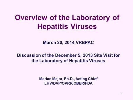 1 Overview of the Laboratory of Hepatitis Viruses March 20, 2014 VRBPAC Discussion of the December 5, 2013 Site Visit for the Laboratory of Hepatitis Viruses.