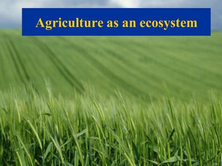 Agriculture as an ecosystem. Great diversity in Natural habitats.