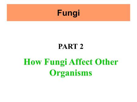 Fungi PART 2 How Fungi Affect Other Organisms. Fungi and Disease Some fungi damage or completely destroy crops. The fungi that cause Dutch elm disease.