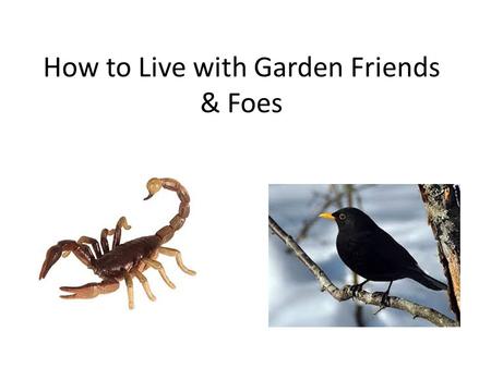 How to Live with Garden Friends & Foes. Bio Diversity at Chelsea.