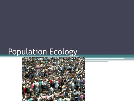Population Ecology. Life takes place in populations Population ▫Group of individuals of same species in same area at same time  Rely on same resources.