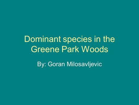 Dominant species in the Greene Park Woods By: Goran Milosavljevic.