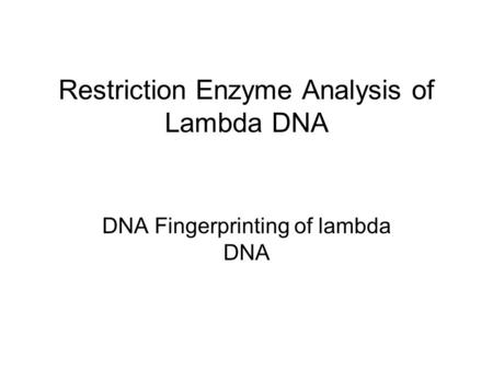 Restriction Enzyme Analysis of Lambda DNA DNA Fingerprinting of lambda DNA.