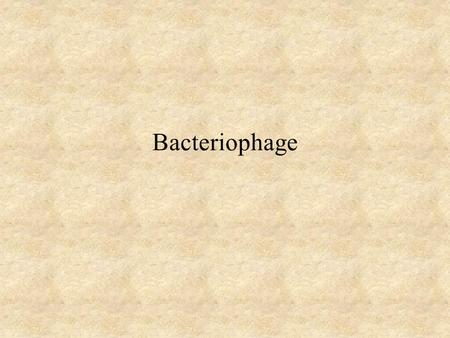 Bacteriophage.