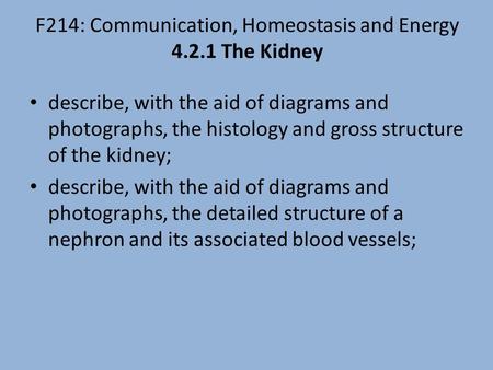 F214: Communication, Homeostasis and Energy The Kidney