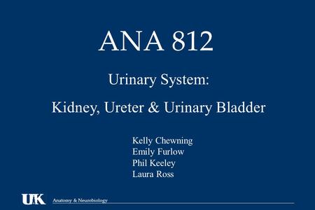 Anatomy & Neurobiology ANA 812 Urinary System: Kidney, Ureter & Urinary Bladder Kelly Chewning Emily Furlow Phil Keeley Laura Ross.