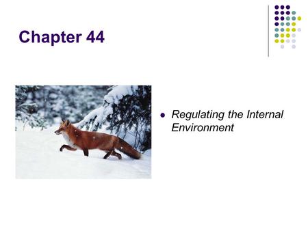 Chapter 44 Regulating the Internal Environment. Homeostasis: regulation of internal environment Thermoregulation internal temperature Osmoregulation solute.