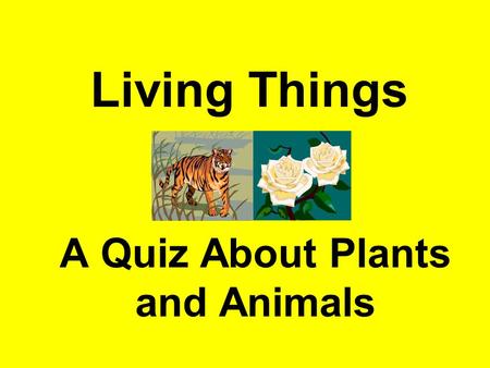 Living Things A Quiz About Plants and Animals. What are living things made from?