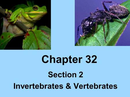 Section 2 Invertebrates & Vertebrates