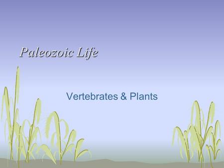 Paleozoic Life Vertebrates & Plants.