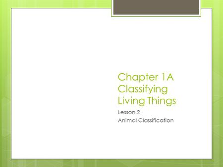 Chapter 1A Classifying Living Things Lesson 2 Animal Classification.