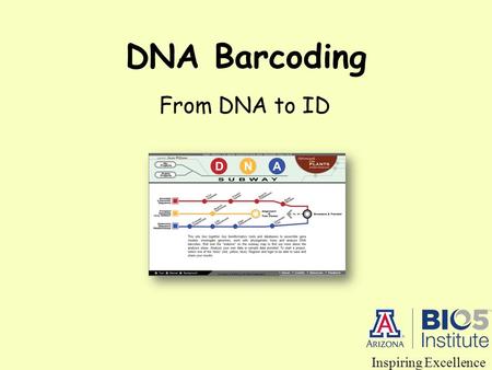 DNA Barcoding From DNA to ID Inspiring Excellence.