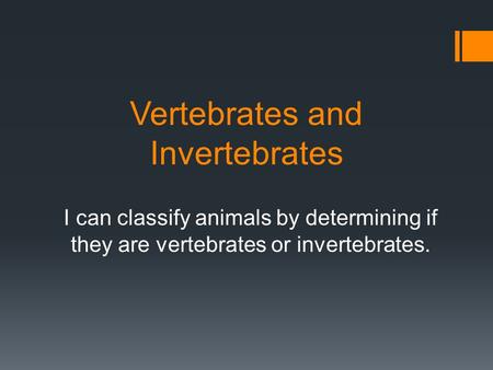 powerpoint presentation about vertebrates and invertebrates