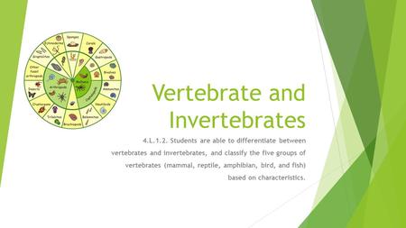 Vertebrate and Invertebrates 4.L.1.2. Students are able to differentiate between vertebrates and invertebrates, and classify the five groups of vertebrates.