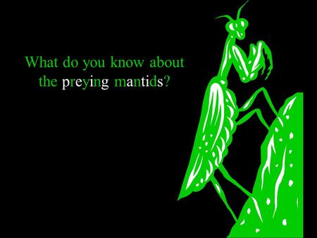 What do you know about the preying mantids? How do you know if this is an animal?