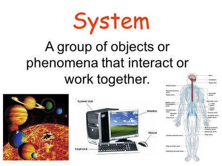 System A group of objects or phenomena that interact or work together.