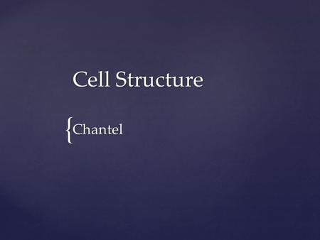 { Cell Structure Chantel.  Cells are the fundamental units of all plant and animal tissues.  Cells are produced by the division of preexisting cells.