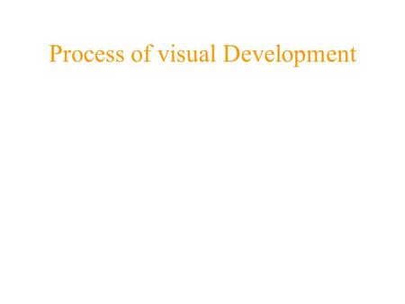 Process of visual Development. 1- elements, gathering or producing the visuals elements (pictures & texts) Based on your goals & objectives and students’