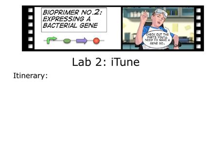 Lab 2: iTune Itinerary:. An engineering paradigm The focus of this lab Design Build Test.