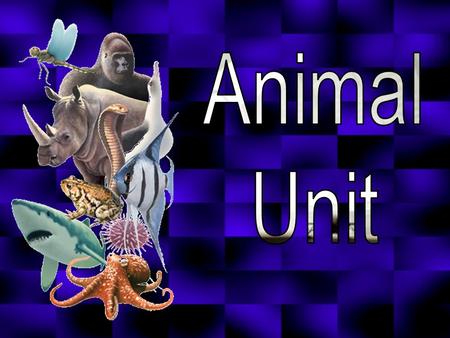 Animal Unit.