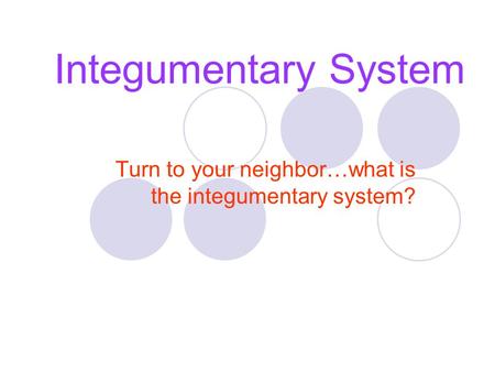Integumentary System Turn to your neighbor…what is the integumentary system?