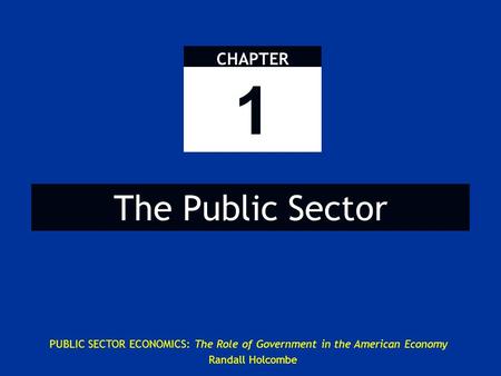 What is the Public Sector?