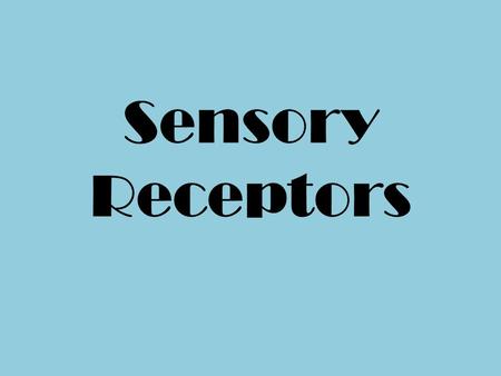 Sensory Receptors.