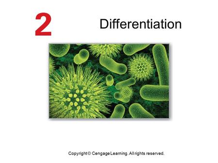 Differentiation Copyright © Cengage Learning. All rights reserved.