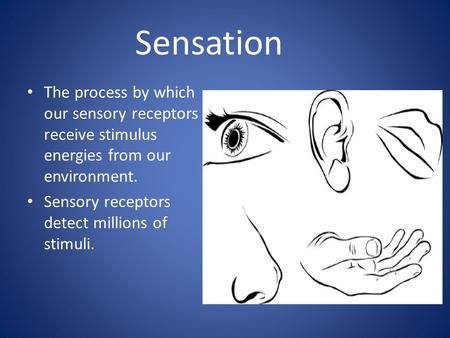 Sensation The process by which our sensory receptors receive stimulus energies from our environment. Sensory receptors detect millions of stimuli.
