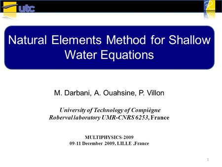 Natural Elements Method for Shallow Water Equations
