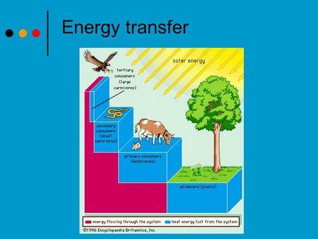 Energy transfer. Energy sources The sun provides almost all the energy to sustain life. Producers use Photosynthesis or Chemosythesis acquire the energy.