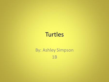 Turtles By: Ashley Simpson 1B. Habitat They live in shallow water Mostly found in Bays, Coastal waters, and lagoons Not found in the open ocean often.
