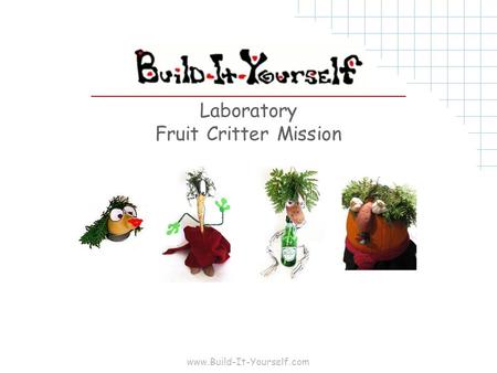 Www.Build-It-Yourself.com Laboratory Fruit Critter Mission.