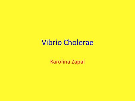 Vibrio Cholerae Karolina Zapal. Classification Kingdom: Bacteria Phylum: Proteobacteria Class: Gamma Proteobacteria Order: Vibrionales Family: Vibrionaceae.