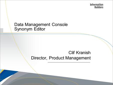 Data Management Console Synonym Editor
