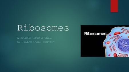 Ribosomes A JOURNEY INTO A CELL. BY: AARON LOGAN MANCUSO.