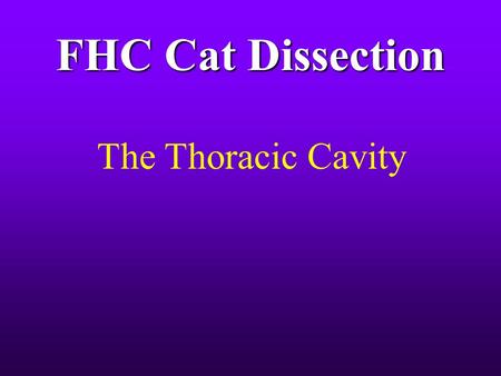 FHC Cat Dissection The Thoracic Cavity.